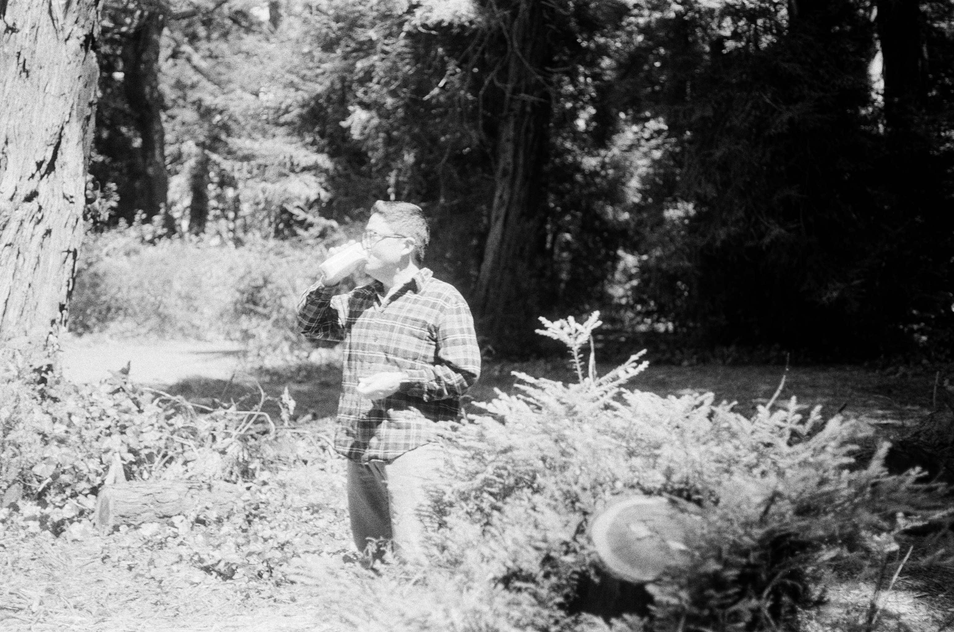 friend in the forest