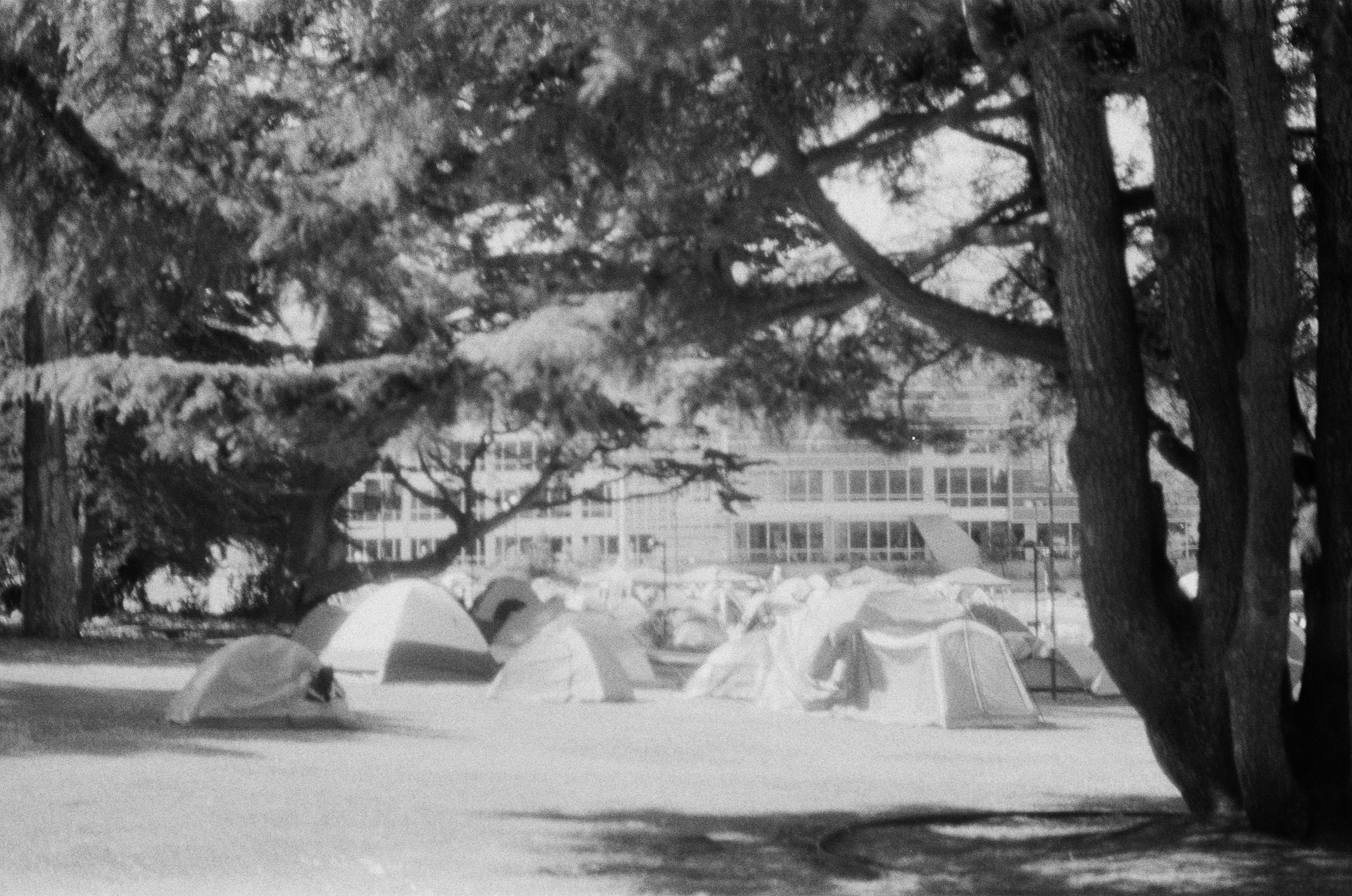 sfsu last spring