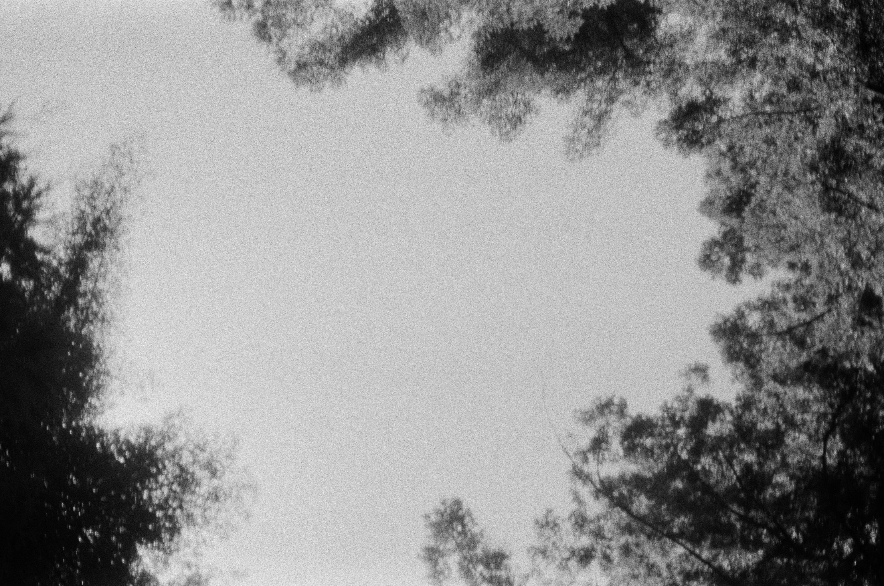 sky in golden gate park